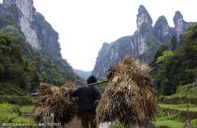 饥饿的记忆.